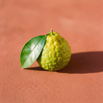 Bergamote
